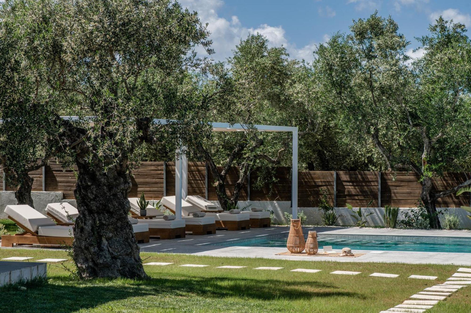 Armonia Boutique Hotel Méson Yerakaríon Εξωτερικό φωτογραφία